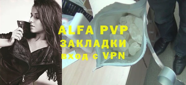 индика Абдулино