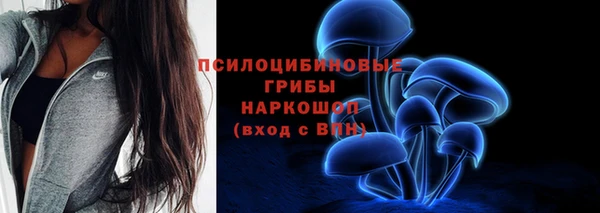 индика Абдулино