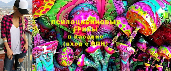 спиды Абаза