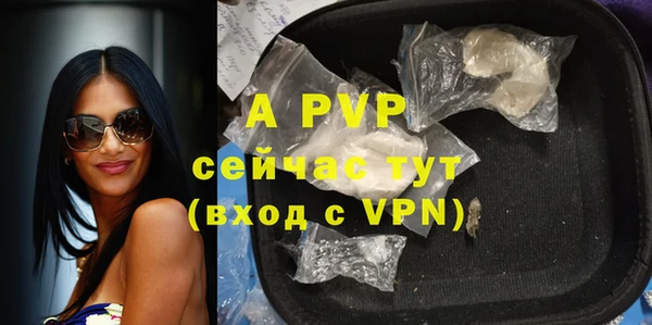 спиды Абаза