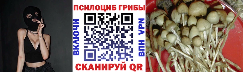 Галлюциногенные грибы MAGIC MUSHROOMS  ссылка на мегу   Карпинск 