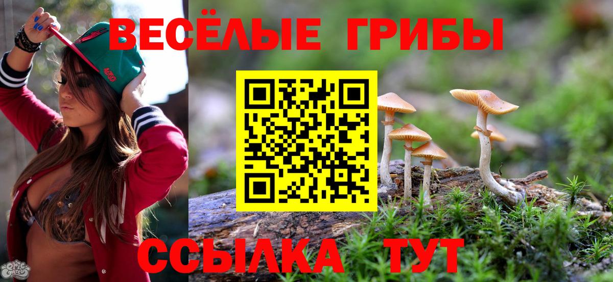 Псилоцибиновые грибы MAGIC MUSHROOMS  Вход с VPN  Галлюциногенные грибы ЛСД  Карпинск 