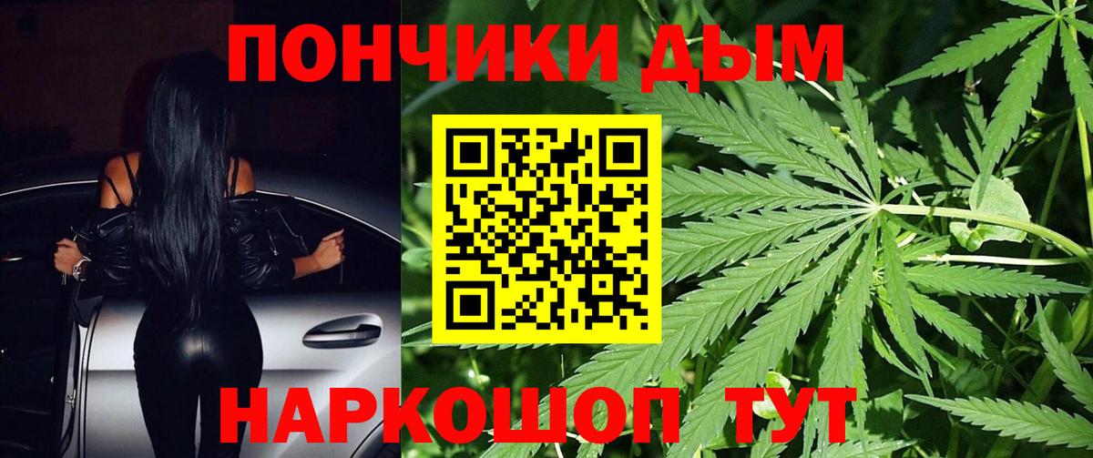 Бошки Шишки сатива Карпинск
